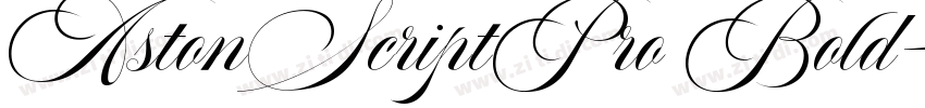 AstonScriptPro Bold字体转换
